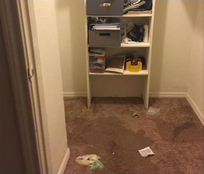 closet with water stain
