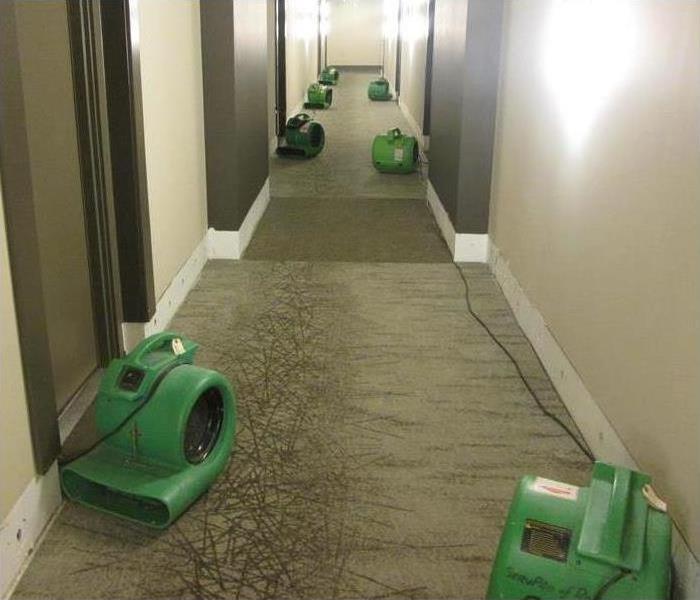 air movers in hallway
